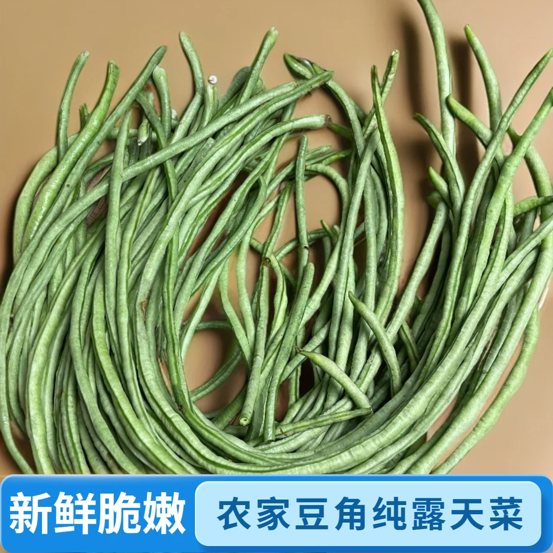 赣南农家天然种植长豆角当季新鲜采摘缸豆泡酸豆角脆嫩长豆角豇豆