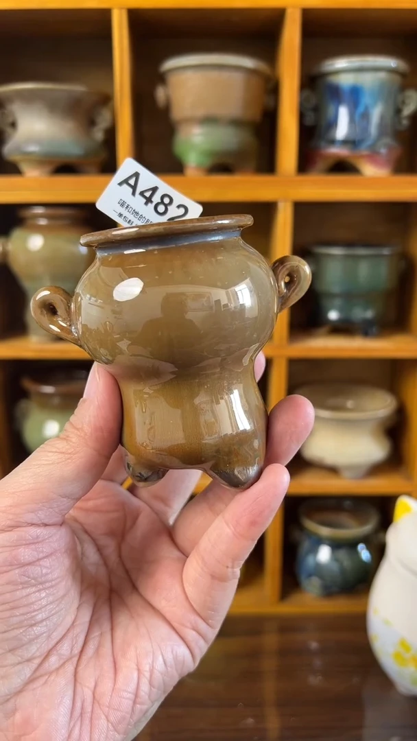 482 内口3【多肉花盆多肉盆】