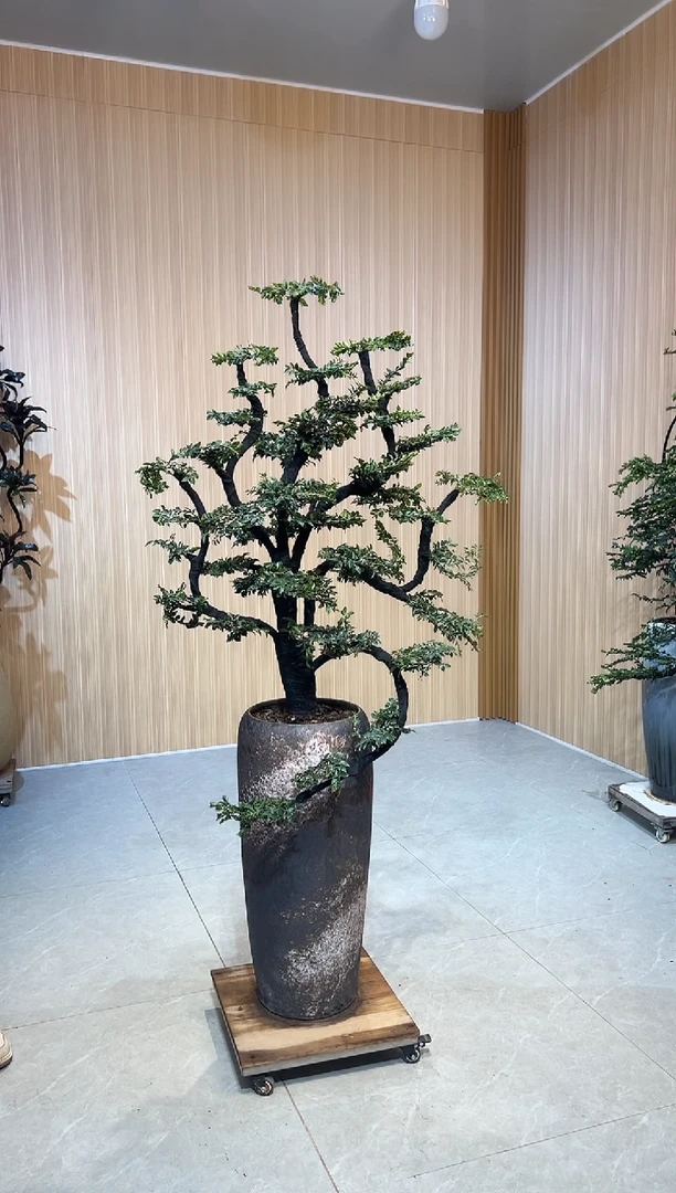 无花朵芸****切广东小叶紫檀小叶紫檀