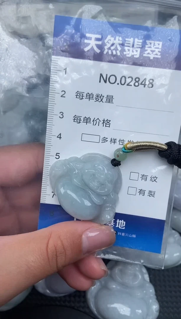 颈饰未镶嵌翡翠纯天然A货翡翠2848