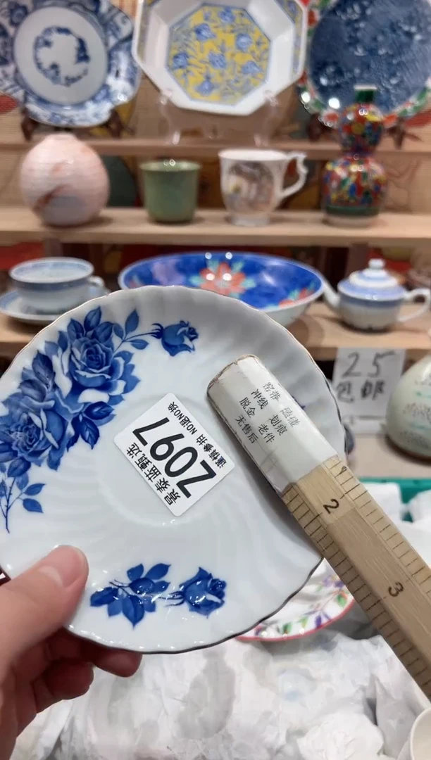 【闪购商品】瓷片当天凑满25米包邮Z097