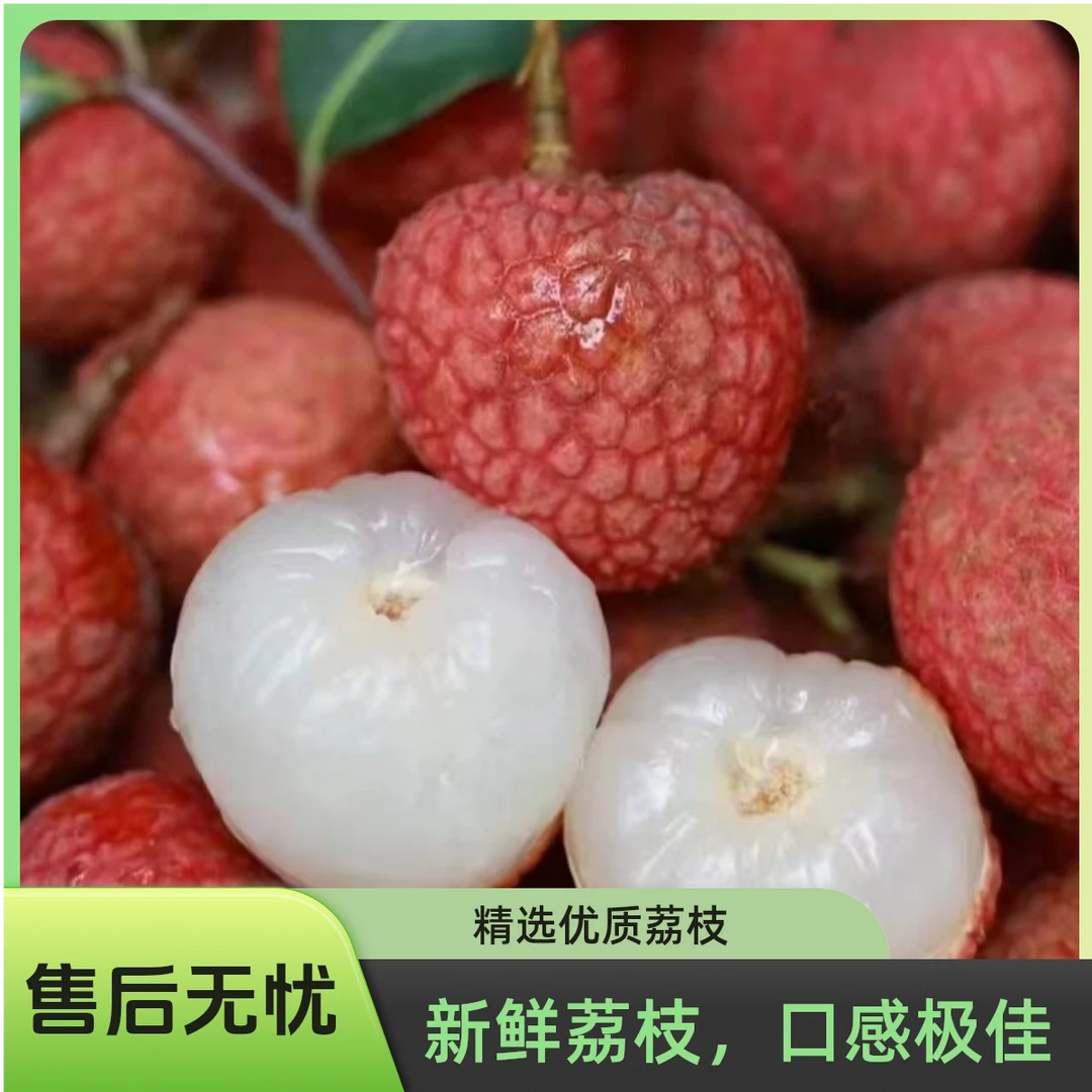 S【顺丰包邮】海南妃子笑荔枝 新鲜应季水果 果肉鲜嫩多汁 又大又甜 冰箱冷藏30分钟更丝滑 10斤荔枝同城送