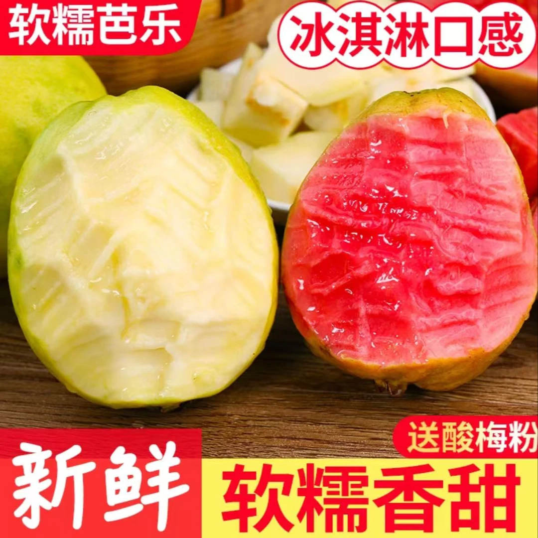 【彩箱装】草莓奶油软芭乐新鲜树上熟当 季水果番石榴源产地现发