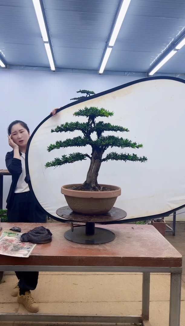 无花朵一物一拍，所见即所得