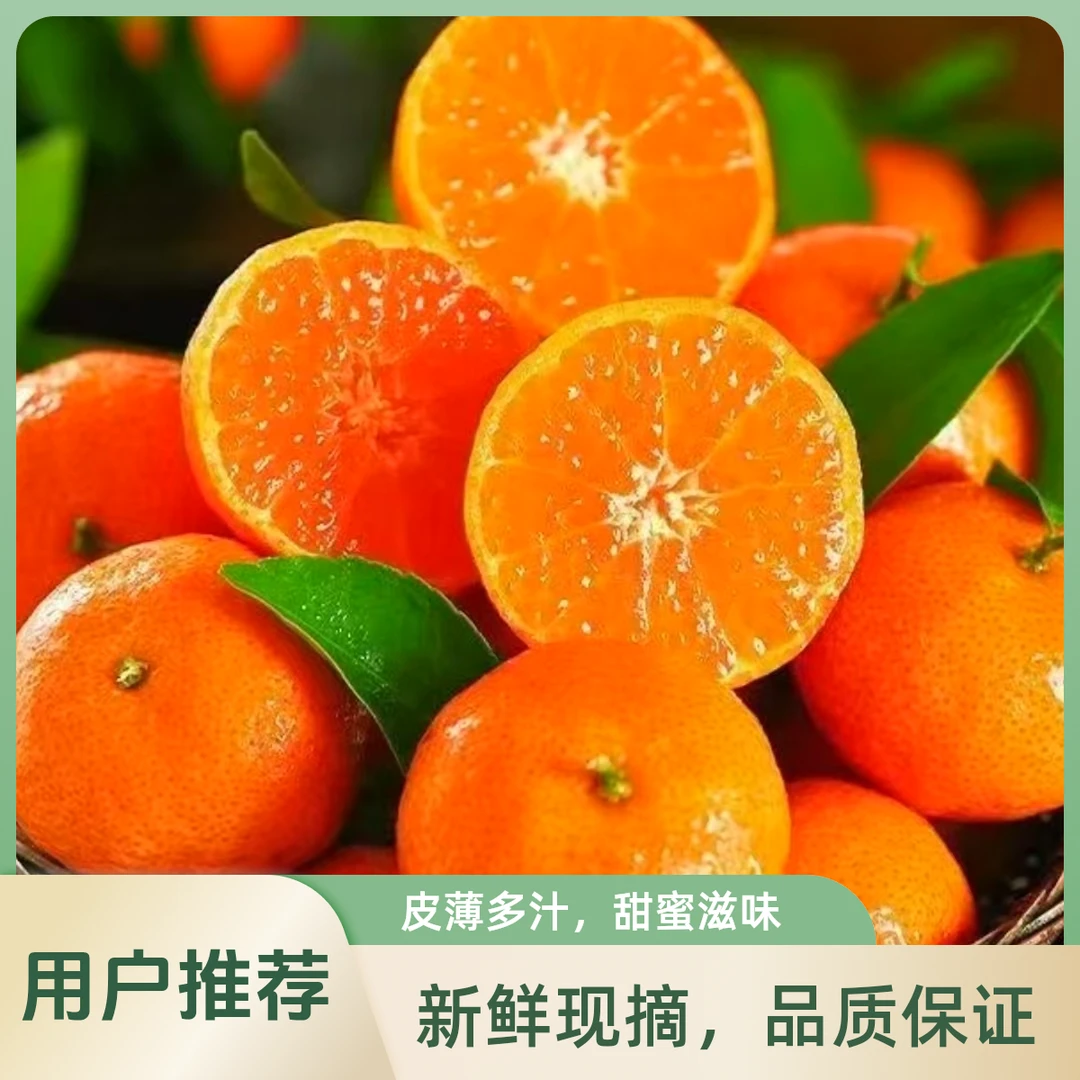 【春节特惠补贴】正宗广西桂林砂糖橘 净果3斤 皮薄肉厚无籽汁水丰富  顺丰次日达沙糖桔广西壮族自治区