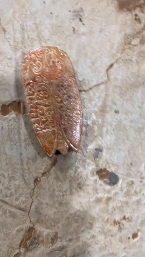 未镶嵌和田玉挂件未镶嵌和田玉把件