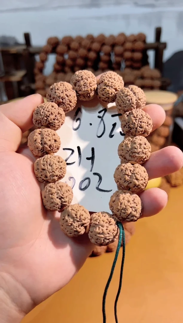 手串金刚菩提大金刚一物一图002