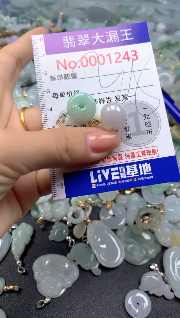 颈饰未镶嵌翡翠1243