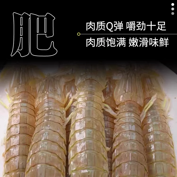 鲜活皮皮虾（保鲜不保活） 鲜活蒸熟即食海鲜水产海虾琵琶虾爬子新鲜小濑尿虾 小时达