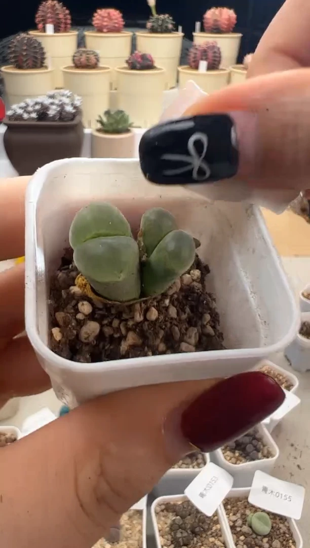 01456。。。。。。。。。。。。。