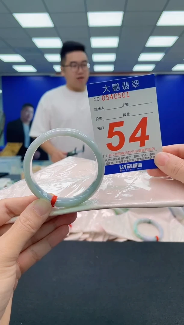 未镶嵌手镯翡翠AAAAAAAAA