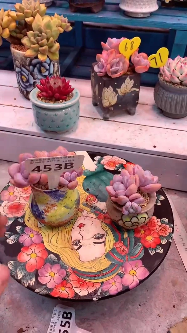 飏*麻453 B 模特区