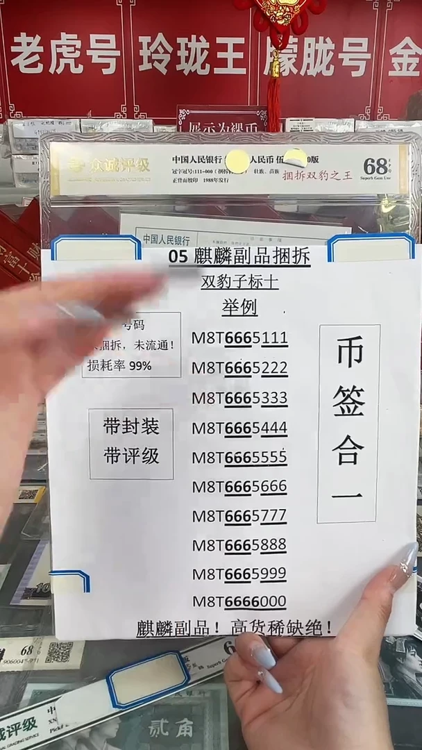 双豹子【捆拆双豹之王】