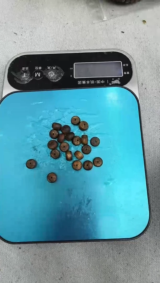 沉香沉香碎屑初****…21颗算盘散珠静静沉香甄选多样性发一