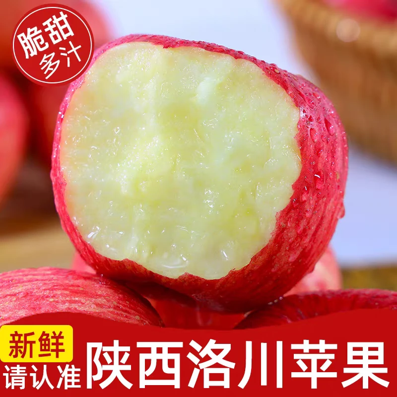 2025新果正宗洛川红富士苹果新鲜现摘脆甜多汁当季水果