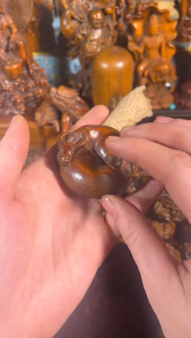 黄杨木11111111111111