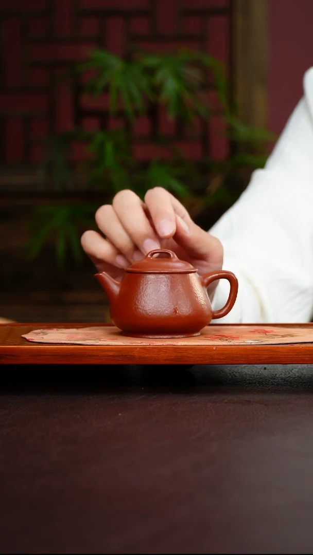 茶壶紫砂瓢饮 110cc  16目大红袍