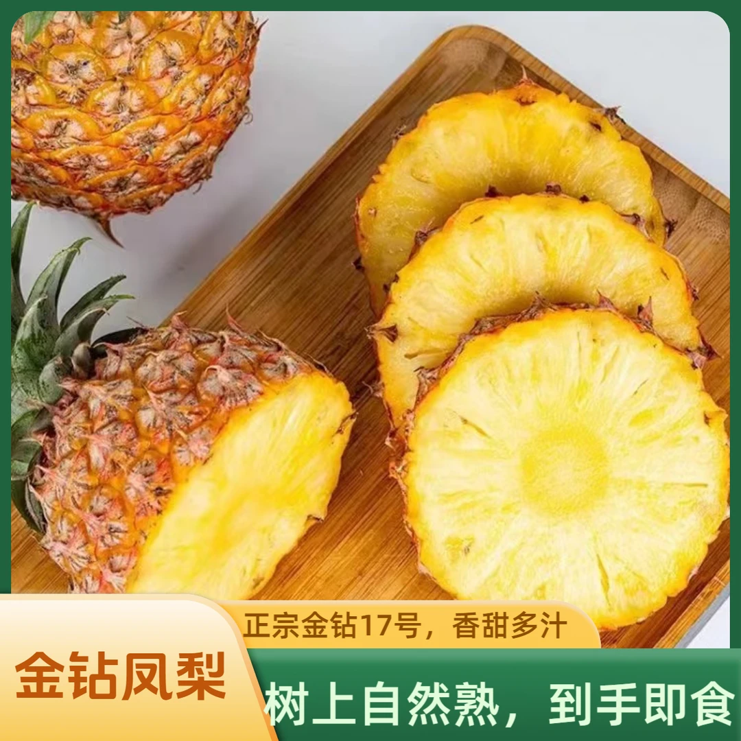 【树上熟】正宗海南金钻凤梨17号香甜水果多汁新鲜采摘产地直发包赔