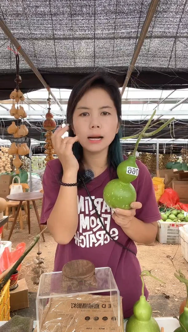 766天然葫芦摆件 一物一拍龙头不保售后