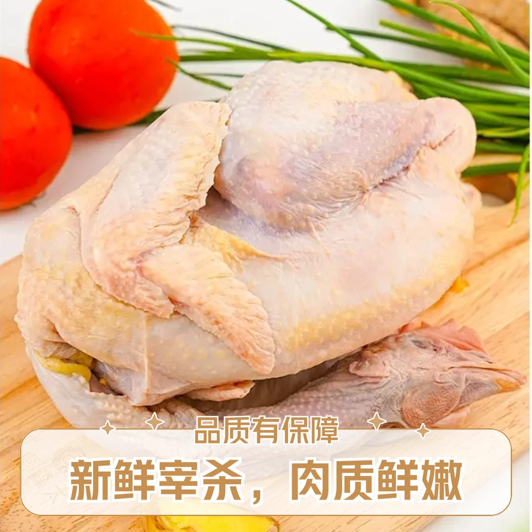 净重3-4斤纯天然散养柴鸡 现宰现发 速冻后发货 顺丰冷链包邮到家烧烤食材