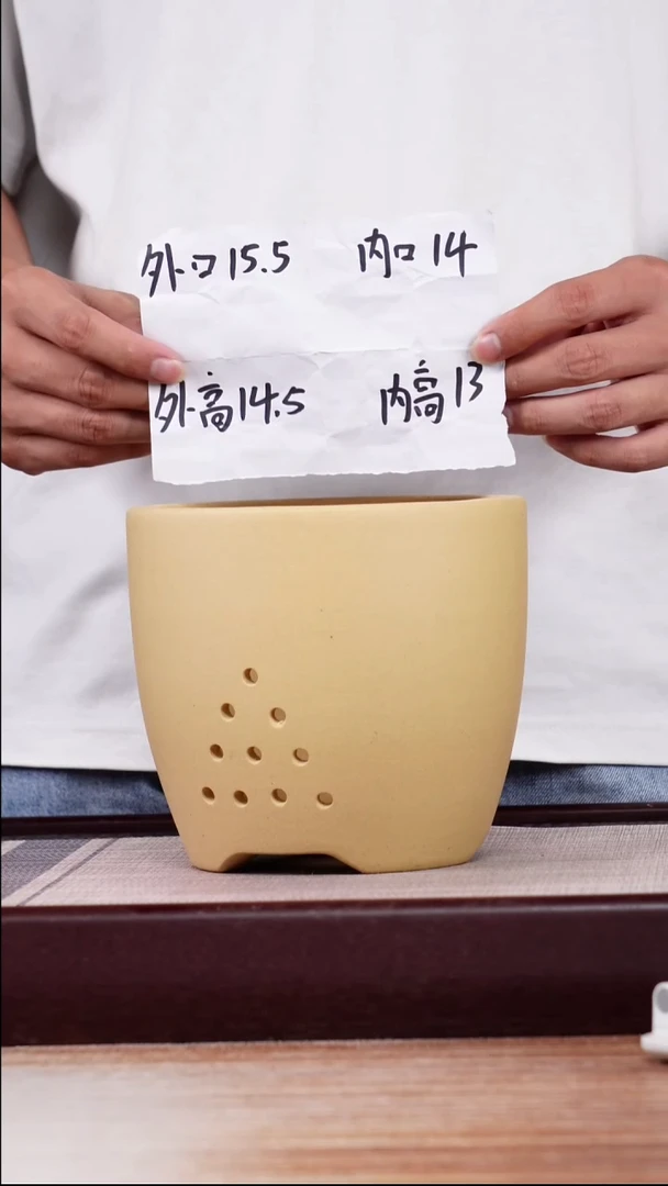 紫砂花盆段泥素面君子兰2号一只带拖