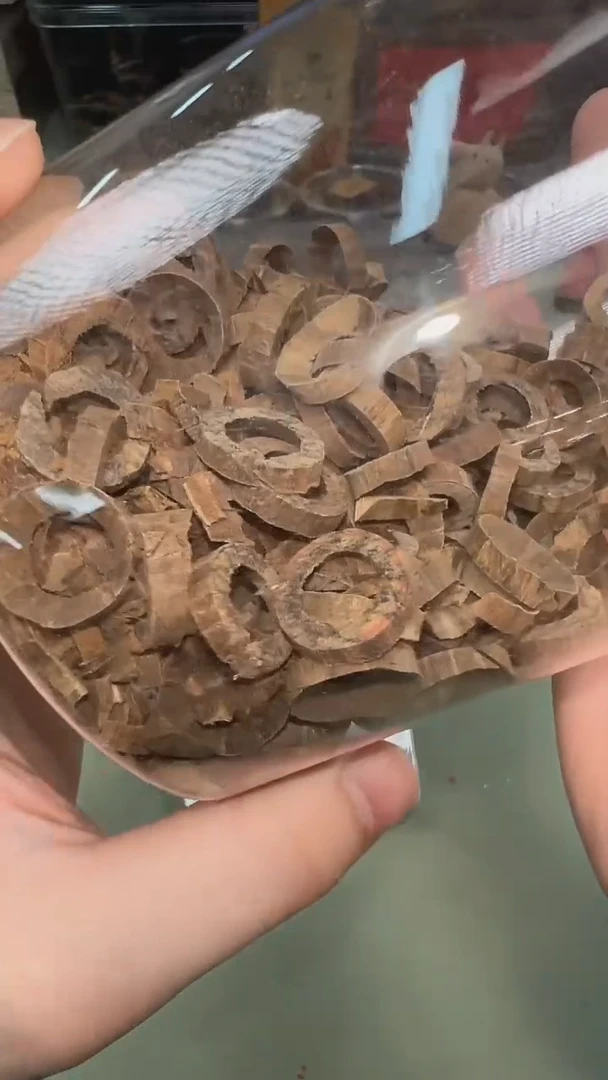 菲律宾莱特岛黑棋甜甜圈1g装