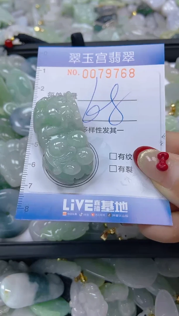 【闪购商品】翡翠颈饰未镶嵌闪购0079768