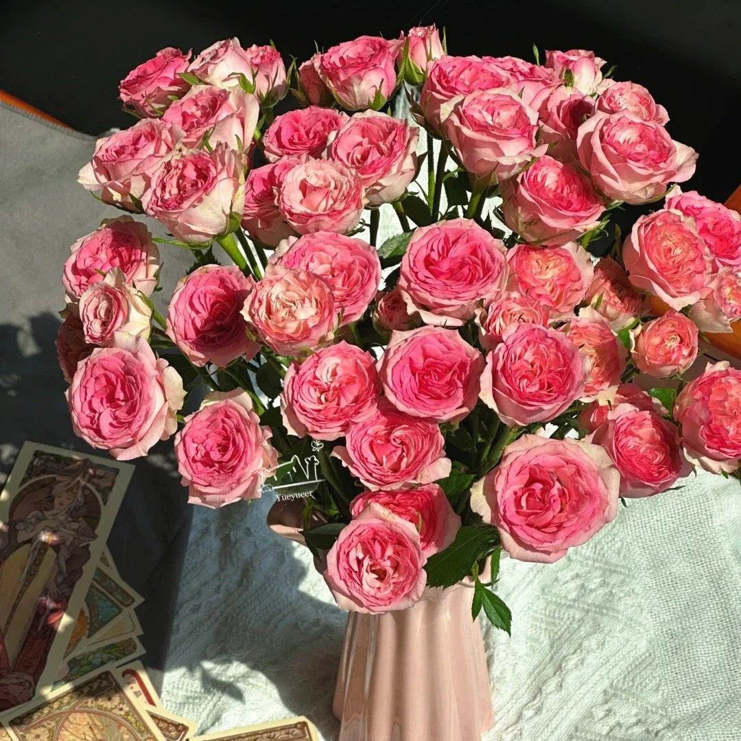加购【花涧小樱】玫瑰不包邮 偏远地区有运费 云南鲜花直发