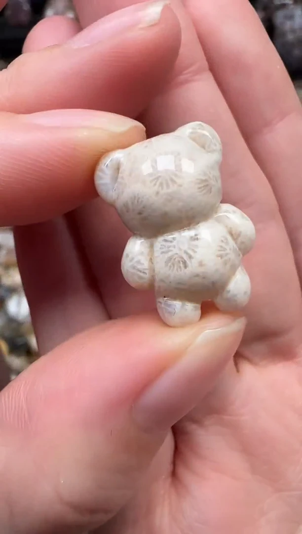 颈饰未镶嵌硅化珊瑚（珊瑚玉）052