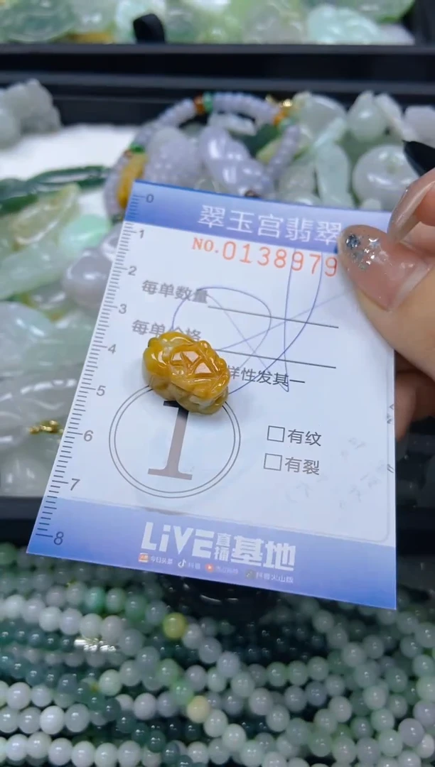 翡翠未镶嵌颈饰闪购0138979