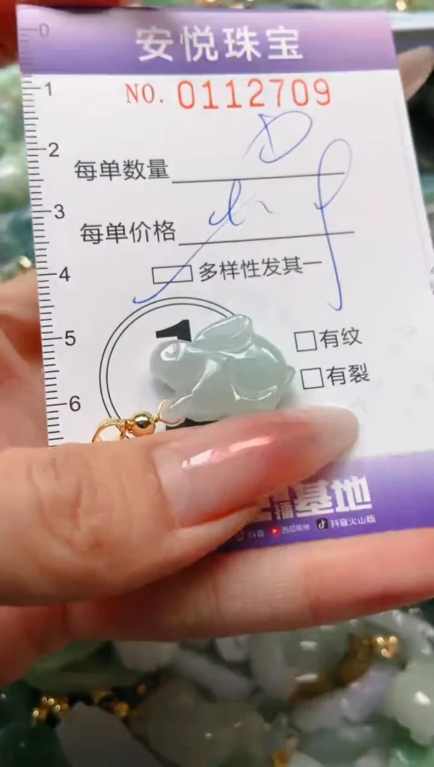 【闪购商品】翡翠颈饰未镶嵌闪购0112709多样性发其一