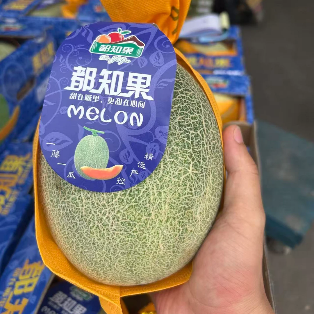 都知果海南晓蜜哈密瓜2颗装海南省
