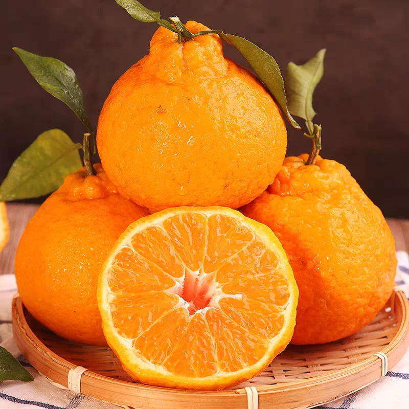 [正宗丑柑]四川蒲江丑橘丑柑包邮