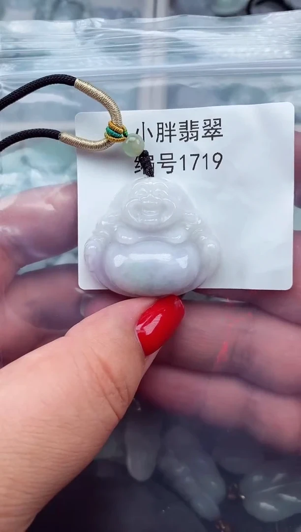 颈饰未镶嵌翡翠缅甸天然A货翡翠1719