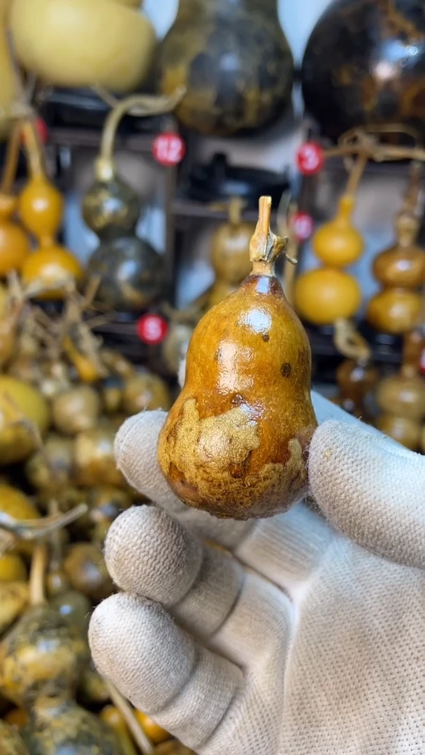 【闪购商品】葫芦葫芦葫芦葫芦