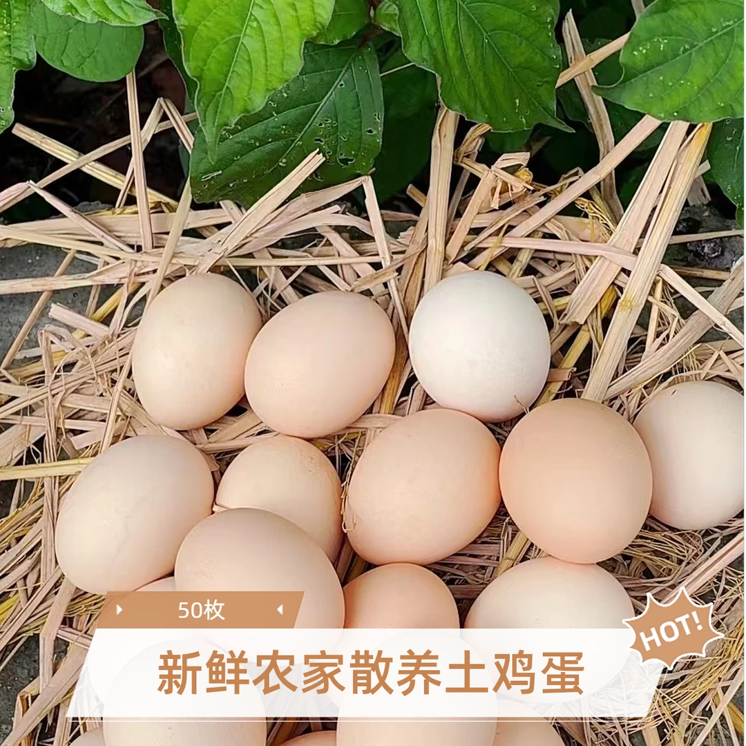 【50枚土鸡蛋】农家散养散放新鲜土鸡蛋谷物喂养破损包赔现捡现发