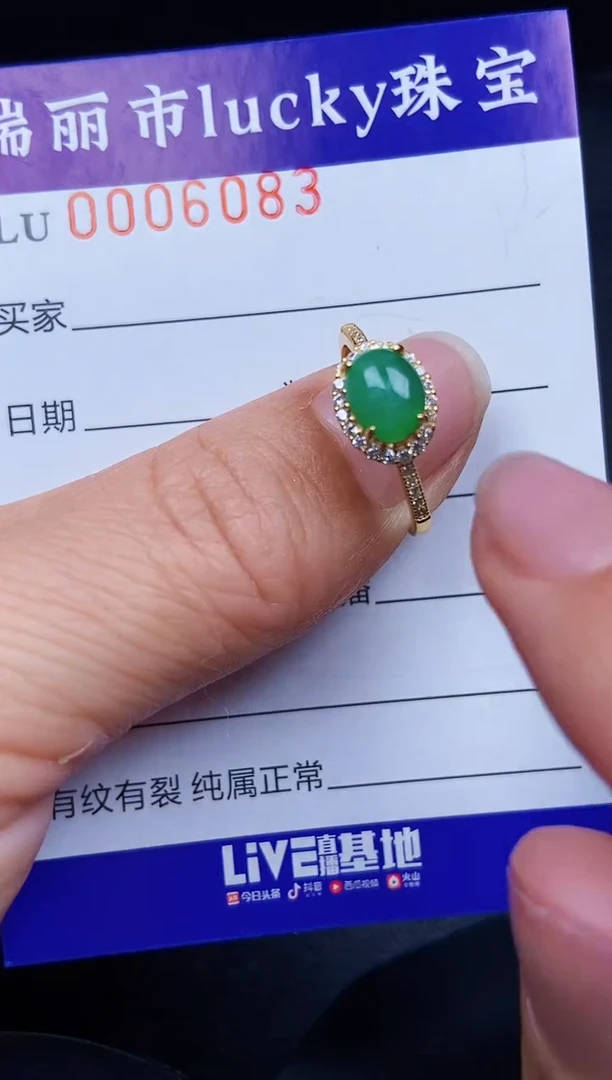 翡翠银S925镶嵌颈饰6083