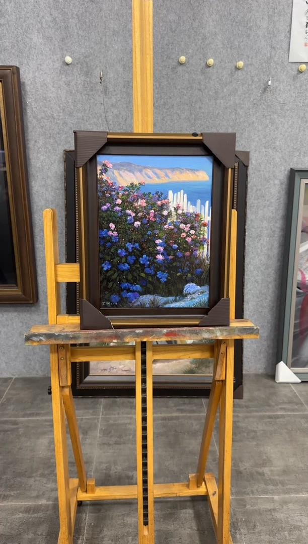 国画z天津人美-苏新油画黑标30*40cm