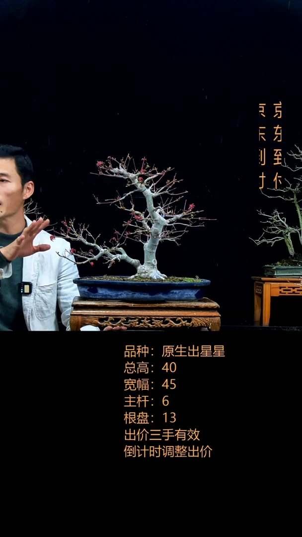 无花朵会****?000000000