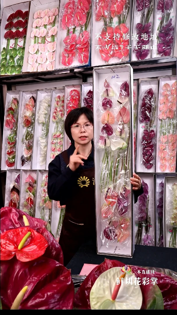 完全开放混色20支迷你无售后款102