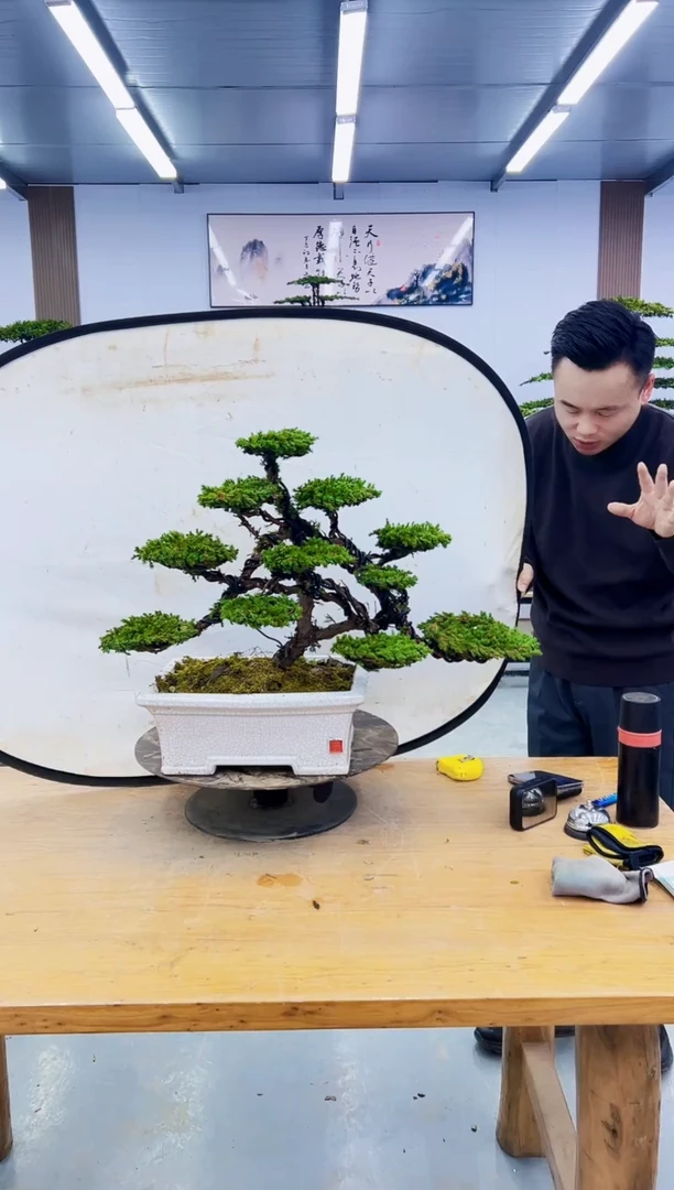 无花朵000000000000000000000