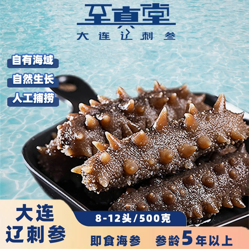 【乐乐专属】大连即食携带辽参海参正宗辽参海参即食大连辽刺参水产