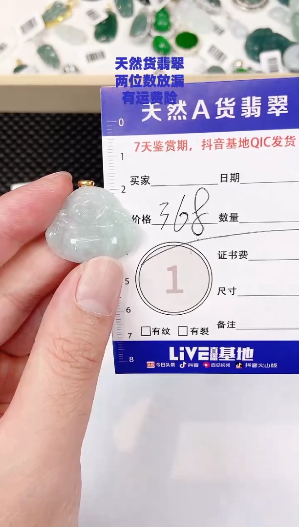 颈饰未镶嵌翡翠天然A货翡翠挂件