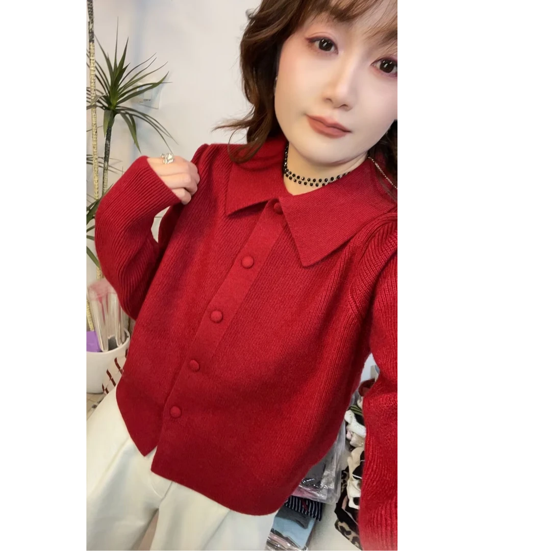 YLB 梦蓝蓝 气质显瘦时尚翻领针织衫