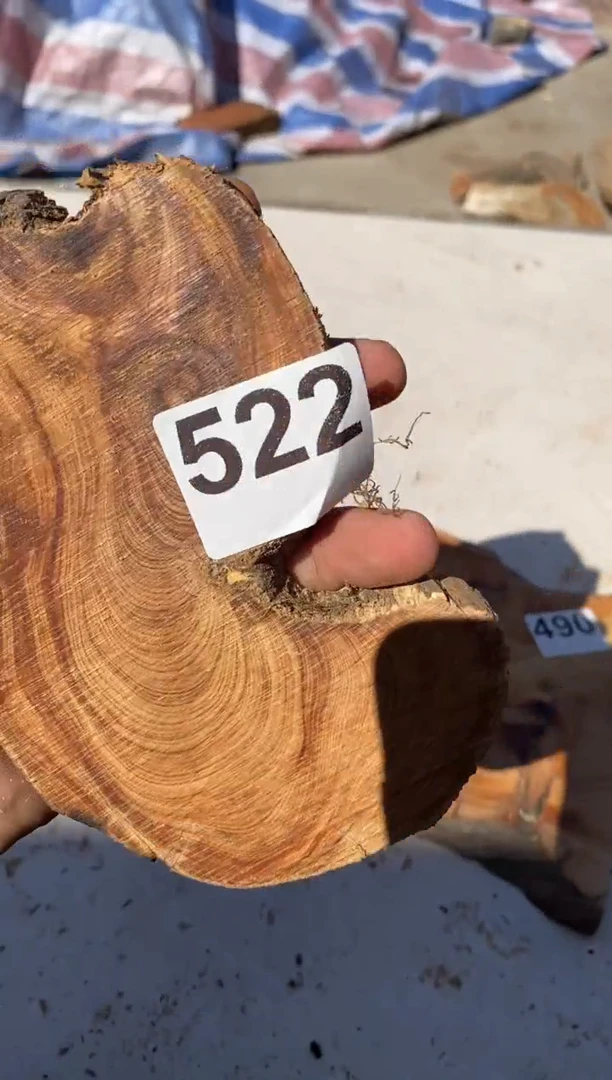 柏木（崖柏）太行陈化崖柏切片一块（津诚林）522