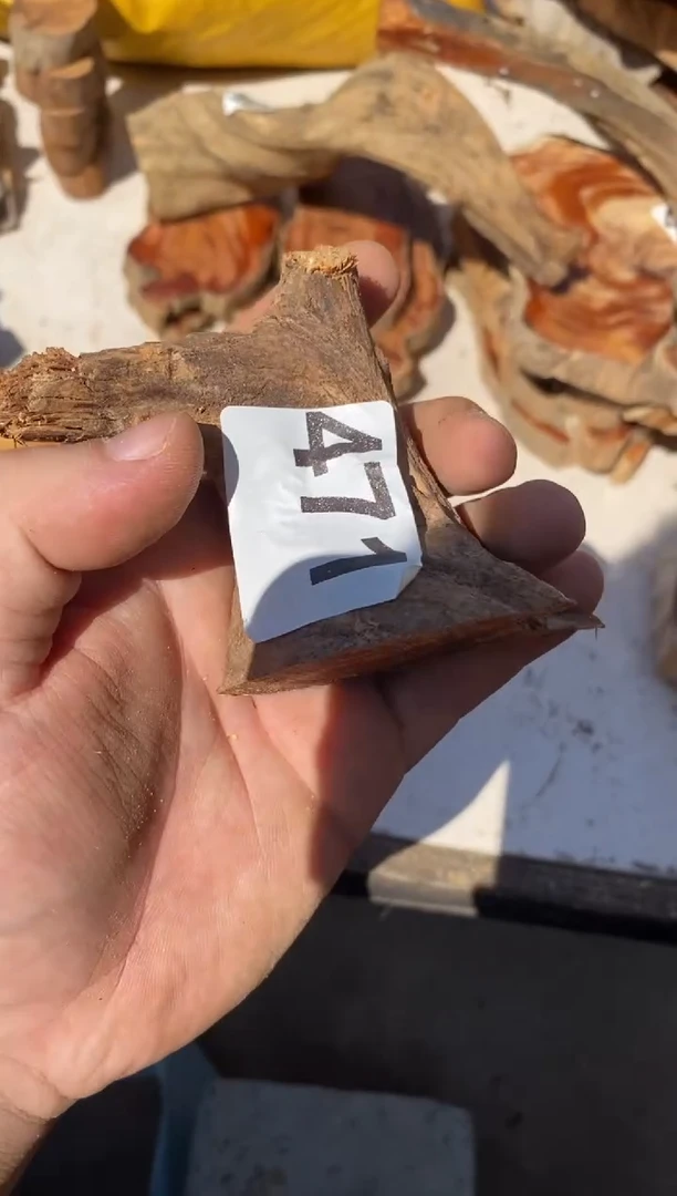 柏木（崖柏）太行陈化崖柏切片一块（津诚林）471