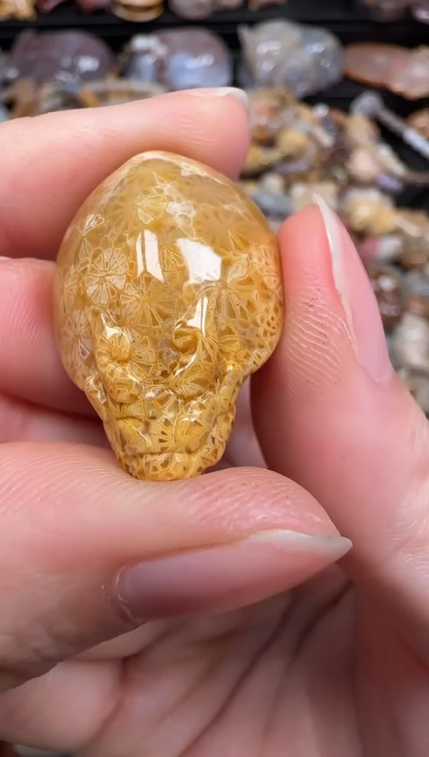 硅化珊瑚（珊瑚玉）未镶嵌颈饰147