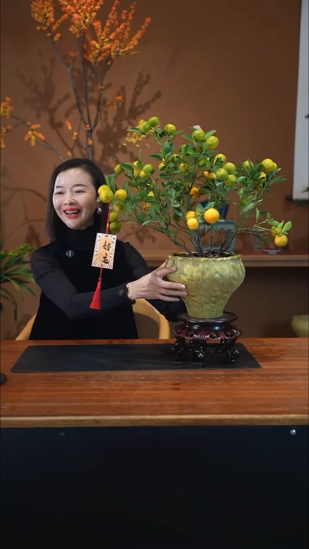 全部花朵小金橘黄盆盆景盆景盆景
