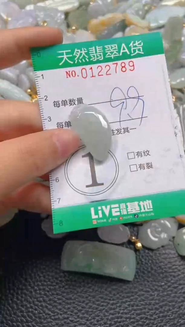 翡翠未镶嵌颈饰闪购0122789