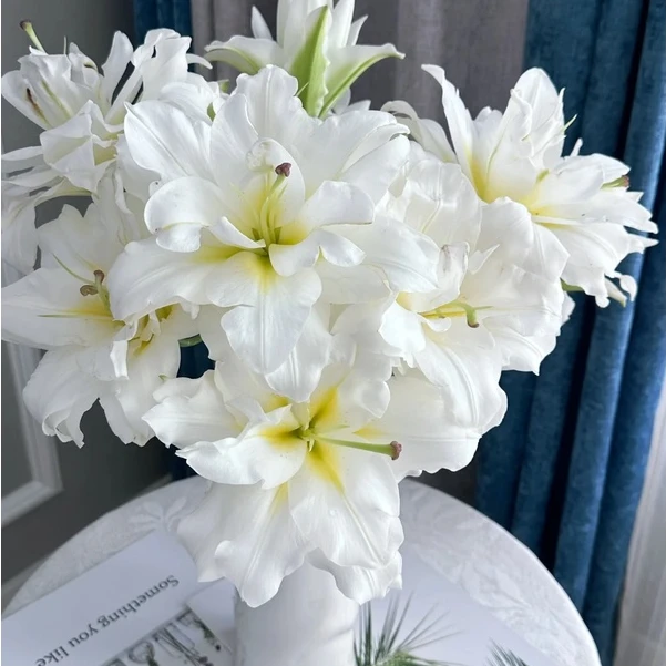 【源头优选】暴风雪重瓣百合 任意两单升级快递 发货后不支持退款